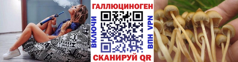 mega ссылки  Рассказово  Псилоцибиновые грибы мицелий 
